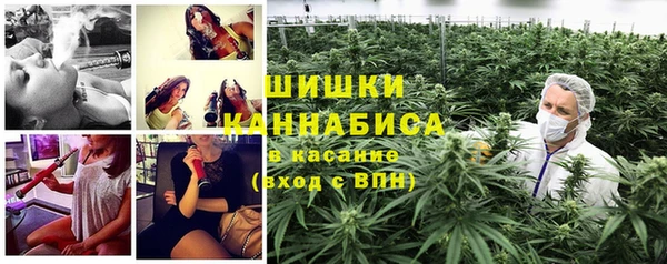 дмт Медногорск