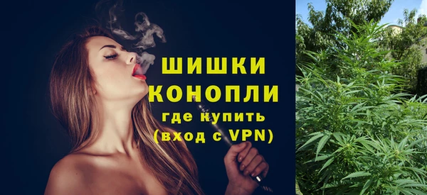дмт Медногорск