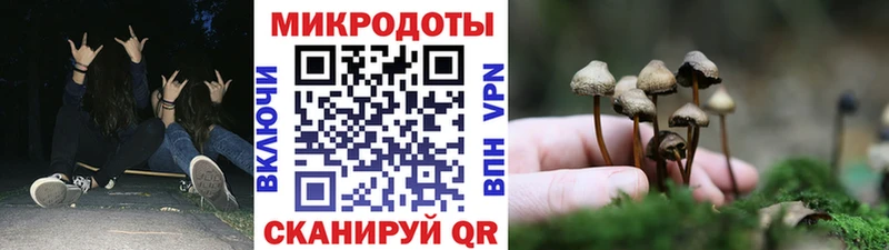 Псилоцибиновые грибы Cubensis что такое Усмань